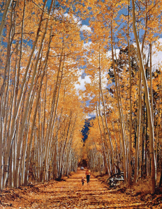 WALKING INTO AUTUMN