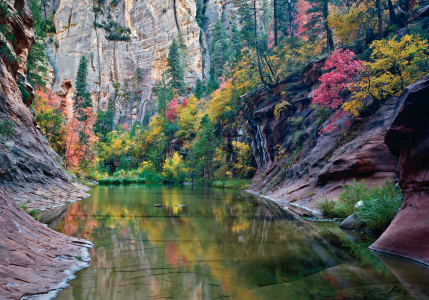HIKE OF THE MONTH