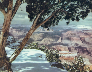 HEAD OVER HEELS AT THE GRAND CANYON
