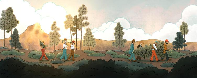 ARIZONA'S FIRST CHRISTMAS TREE