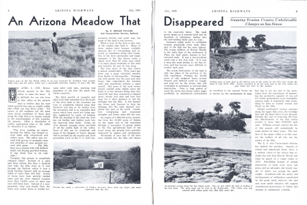 An Arizona Meadow that Disappeared