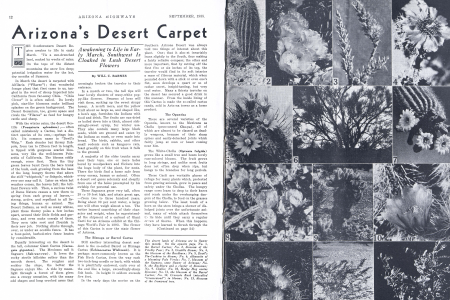 No. 1, the Barrel Cactus