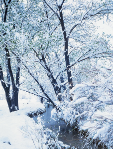 SNOW IS GLISTENING