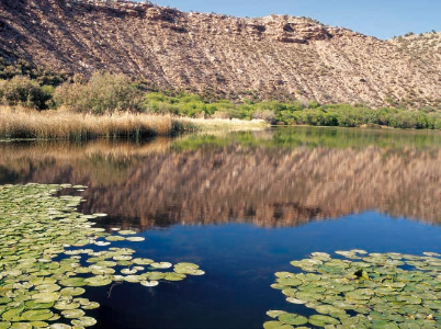Flocking to Verde Valley