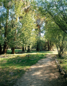 Hassayampa River Preserve
