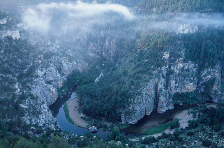 Venturing Into Wildness