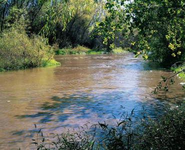 Hike a Historic Trail