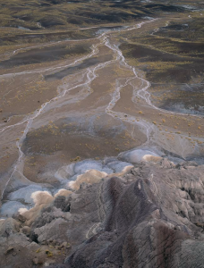 Life in a Stony Landscape