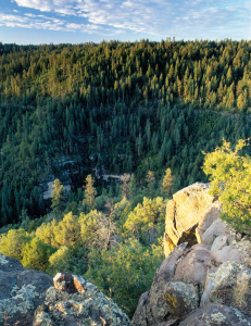 Overland Road Historic Trail