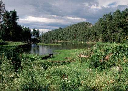 Clouds threaten to disrupt the lake's placid reflections and the sunlit display of colorful wildflowers at Point of Pines.