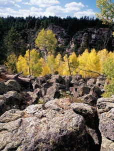 Fisher Point, beyond Sandys Canyon Trail, crests limestone and sandstone cliffs in Coconino National Forest south of Flagstaff, and provides views of the western end of Walnut Canyon.