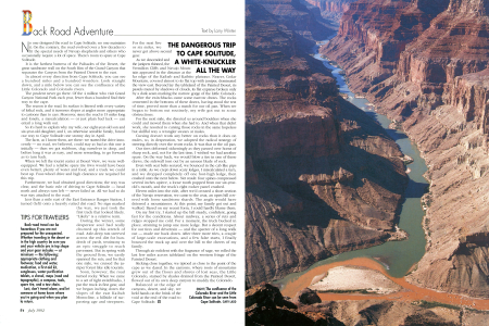 The confluence of the Colorado River and the Little Colorado River can be seen from Cape Solitude.