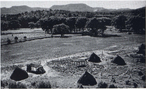 Apache land between White River and Cibecue. Note cultivated area,