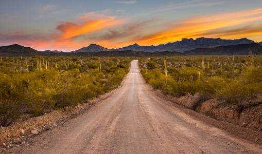 SCENIC DRIVE