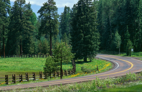 THE ULTIMATE ARIZONA ROAD TRIP