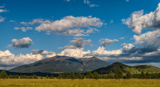 SCENIC DRIVE