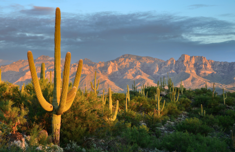 THE BIG PICTURES:
SANTA CATALINA MOUNTAINS