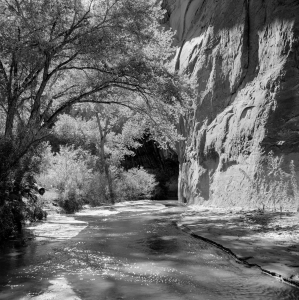 IMAGES OF A LOST WORLD