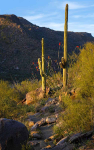 HIKE OF THE MONTH