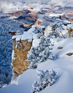 A WINTER'S WALK