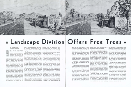 LANDSCAPE DIVISION OFFERS FREE TREES