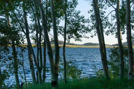 Aspens line the shore of Big Lake, the tranquil conclusion to a back-road drive from Eagar.