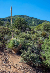 HIKE OF THE MONTH