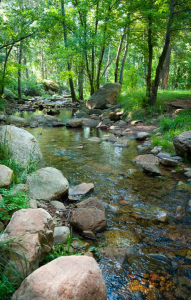 Christopher Creek is one of the early highlights of the See Canyon Trail.