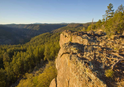 An overlook near Dorsey Spring offers an expansive view of Sycamore Canyon.