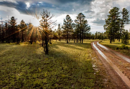 SCENIC DRIVE