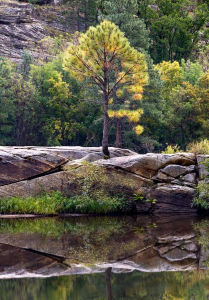 The calm water of East Clear Creek mirrors the scenery along the Kinder Crossing Trail.