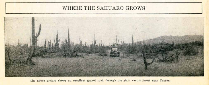 The above picture shows an excellent gravel road through the giant cactus forest near Tucson.