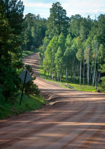 SCENIC DRIVE