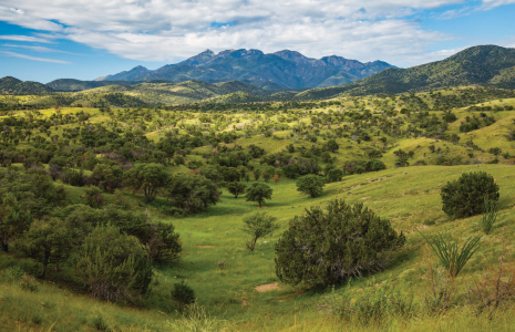SOUTHERN EXPOSURES