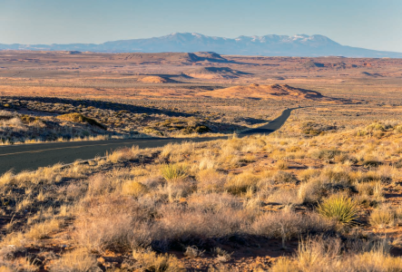 Scenic Drive