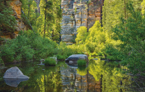 Hike of the Month