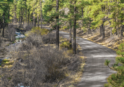 Scenic Drive