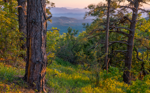 Hike of the Month