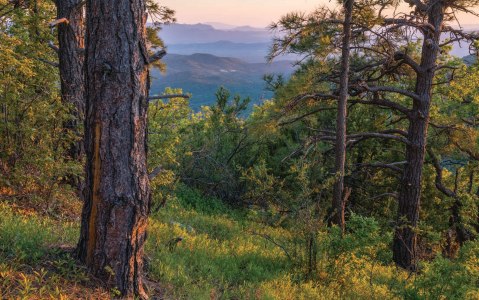 Hike of the Month