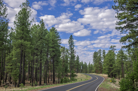 Scenic Drive