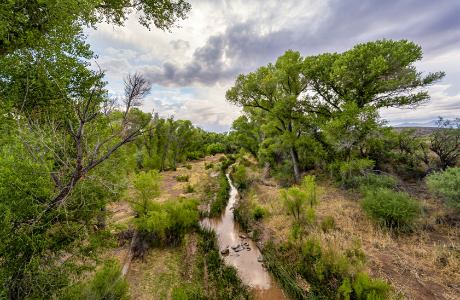 Scenic Drive