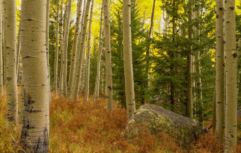 Hike of the Month