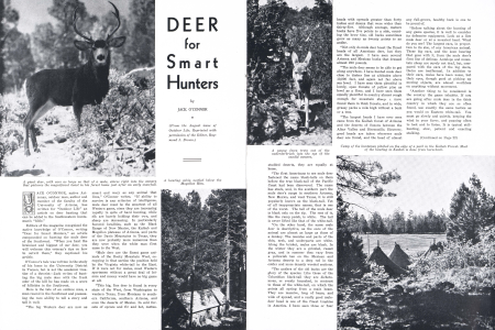 DEER FOR SMART HUNTERS