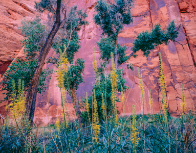 COLORS: THE MUSIC OF THE EYES