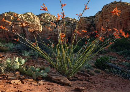 THE NERVE OF MOTHER NATURE...