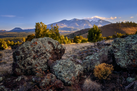 Scenic Drive