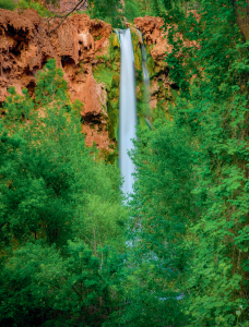 250 Things We Love About Arizona