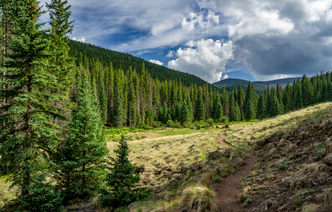 Hike of the Month