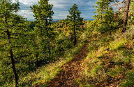 Hike of the Month