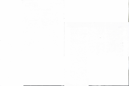 A lonely Yucca against the evening sky.